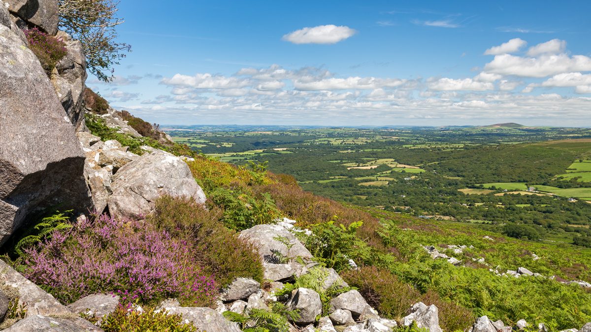 Hillside view of Pembrokeshire fields 