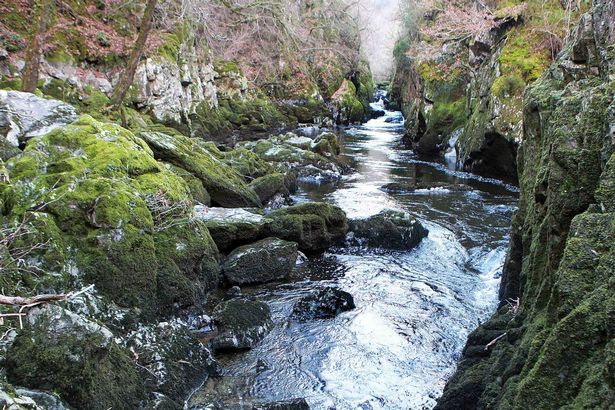 Picturesque stream 