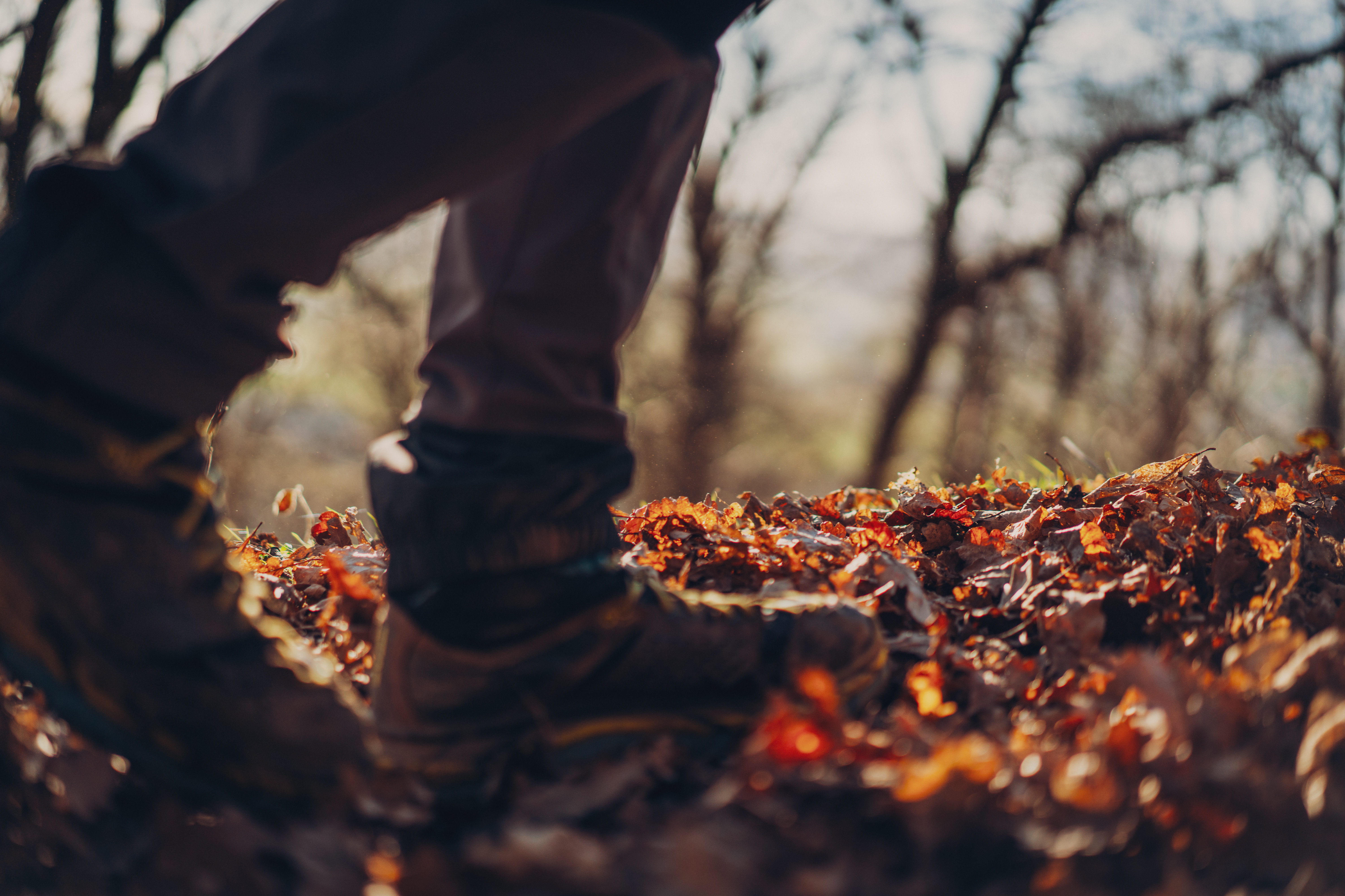 Boot in Autumn Leaves