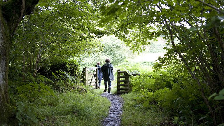 2 walkers on a forest path 